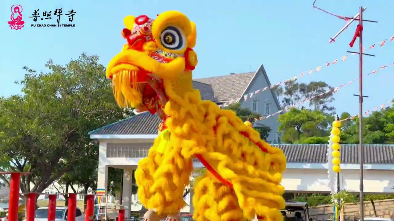 2024甲辰年中國福建漳州龍海市港尾鎮普照禪寺藥師法會九九重陽舞獅表演