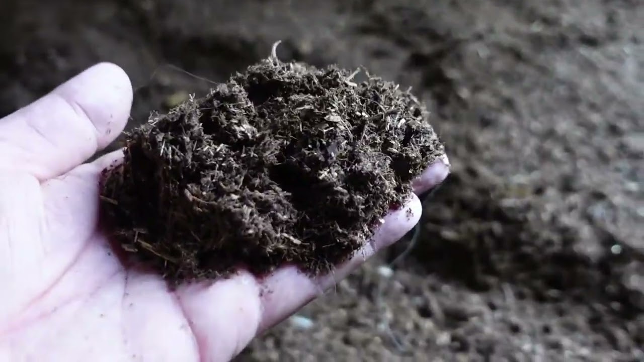 12 Months of Bio-Waldboden Bedding in My Horse Stable: A Review