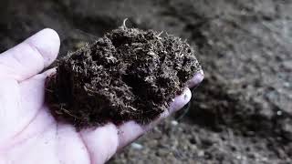 12 Months Of Bio-Waldboden Bedding In My Horse Stable A Review