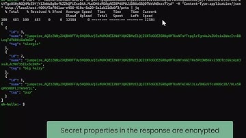 JumpWire API Proxy demo