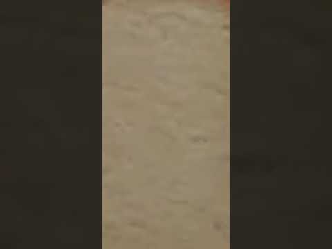 Bread falling down