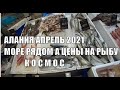 АЛАНИЯ Апрель 2021 Цены на оливки варенье рыбу и морепродукты в МЕТРО Турция