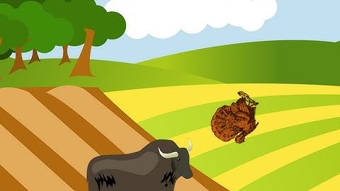 Episode 5 - Turkey Bowl