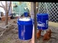 The best DIY chicken feeder - keep feed dry and safe from rodents and birds