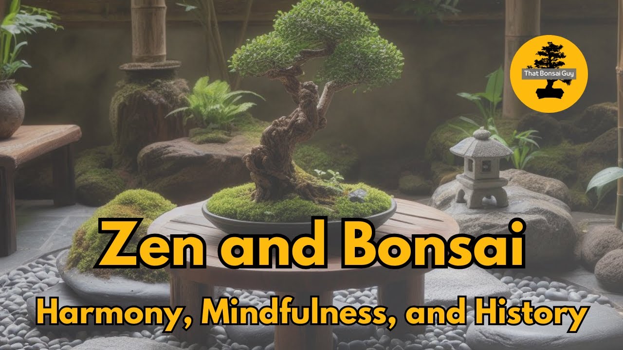 Zen > WabiSabi < Zen  Bonsai ficus, Bonsai art, Bonsai tree