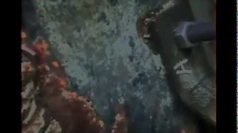 MCPS Ltd Sacrificial Anode Harbour Dive Inspection