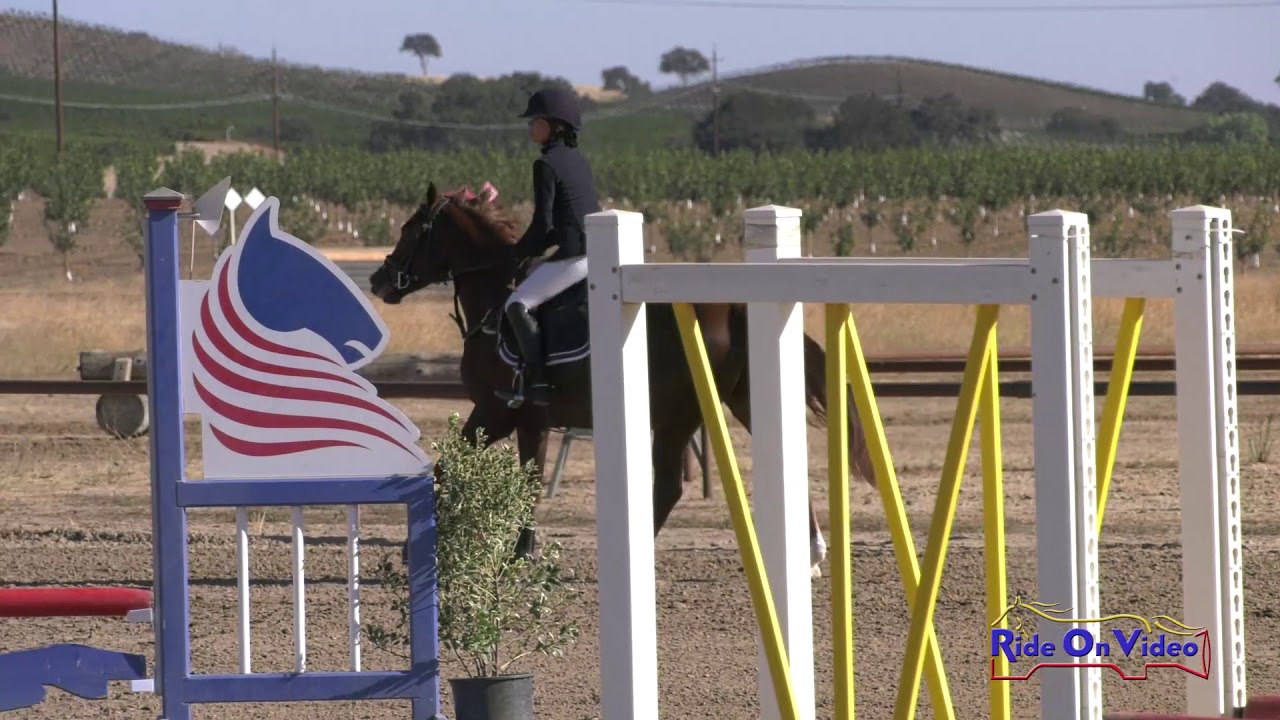 horseshoe bend 337S Alice Chan on Merriewold Quintessa Intro Show Jumping Twin Rivers Ranch Sept. 2019