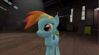 Best Day Ever (Rainbow Dash Custom IK Rig Test Render)