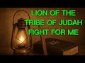 MY DIFFENDER: THE LION of the TRIBE JUDAH