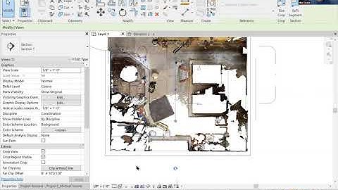 Creating Elevations and Sections ( Point cloud file in Revit 2021)