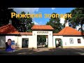 Рижский зоопарк.Летняя прогулка по зоосаду.