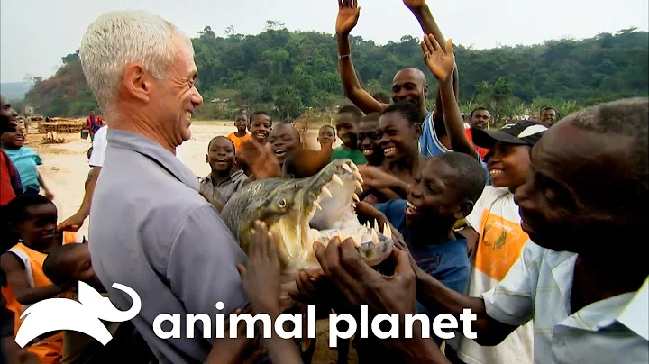 Jeremy Wade Catches The Freakiest Monsters of SEASON 2 | River Monsters | Animal Planet