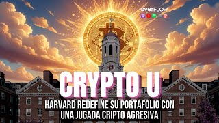 El gato más querido del barrio… y el robotaxi que lo mató | OVERFLOW 181125