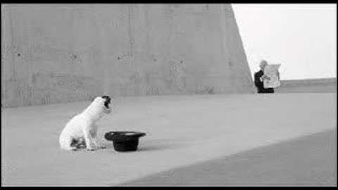 Paul van Dyk feat Wayne Jackson "The Other Side"