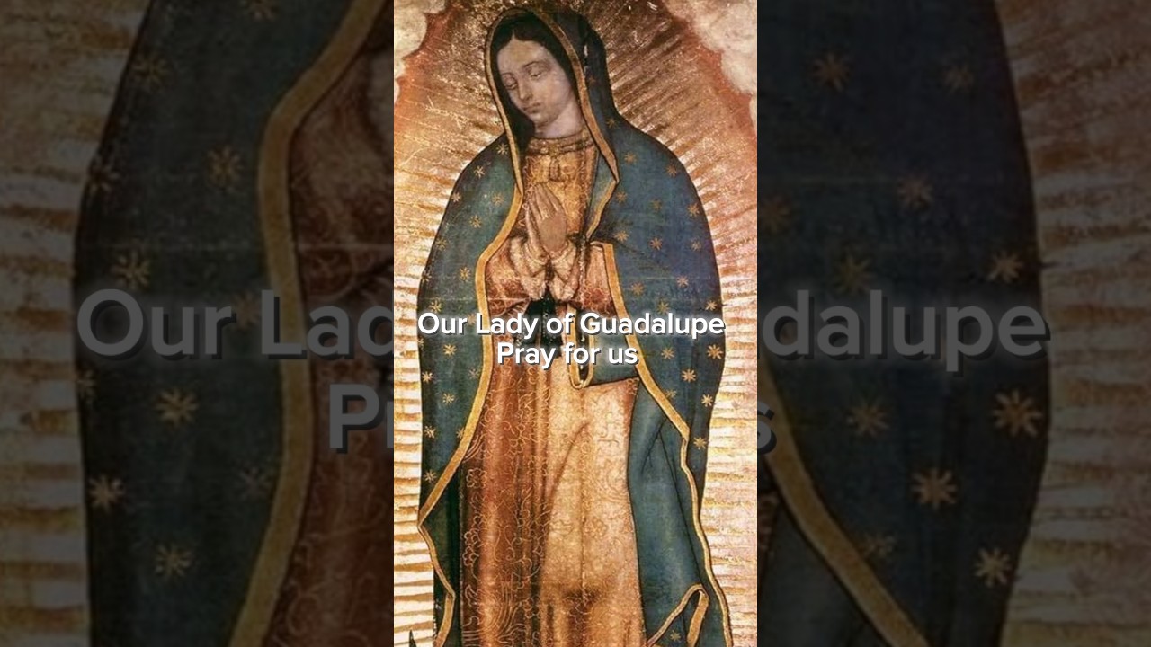 Our Lady of Guadalupe, pray for us #LadyofGuadalupe ￼#Catholic #Mexico #Cristeros #OurLady