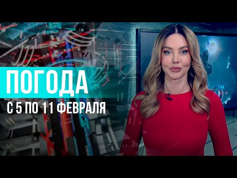 Погода на неделю 5-11 февраля 2024. Прогноз погоды. Беларусь | Метеогид