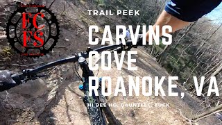 Carvins Cove MTB Trail Peek - Hi Dee Ho, The Gauntlet and Buck!