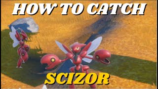 HOW TO CATCH SCIZOR IN POKEMON SCARLET & VIOLET