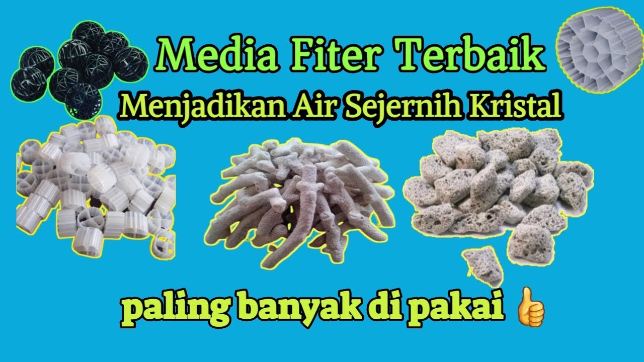 Media Filter Aquarium Terbaik Membuat air Jernih YouTube