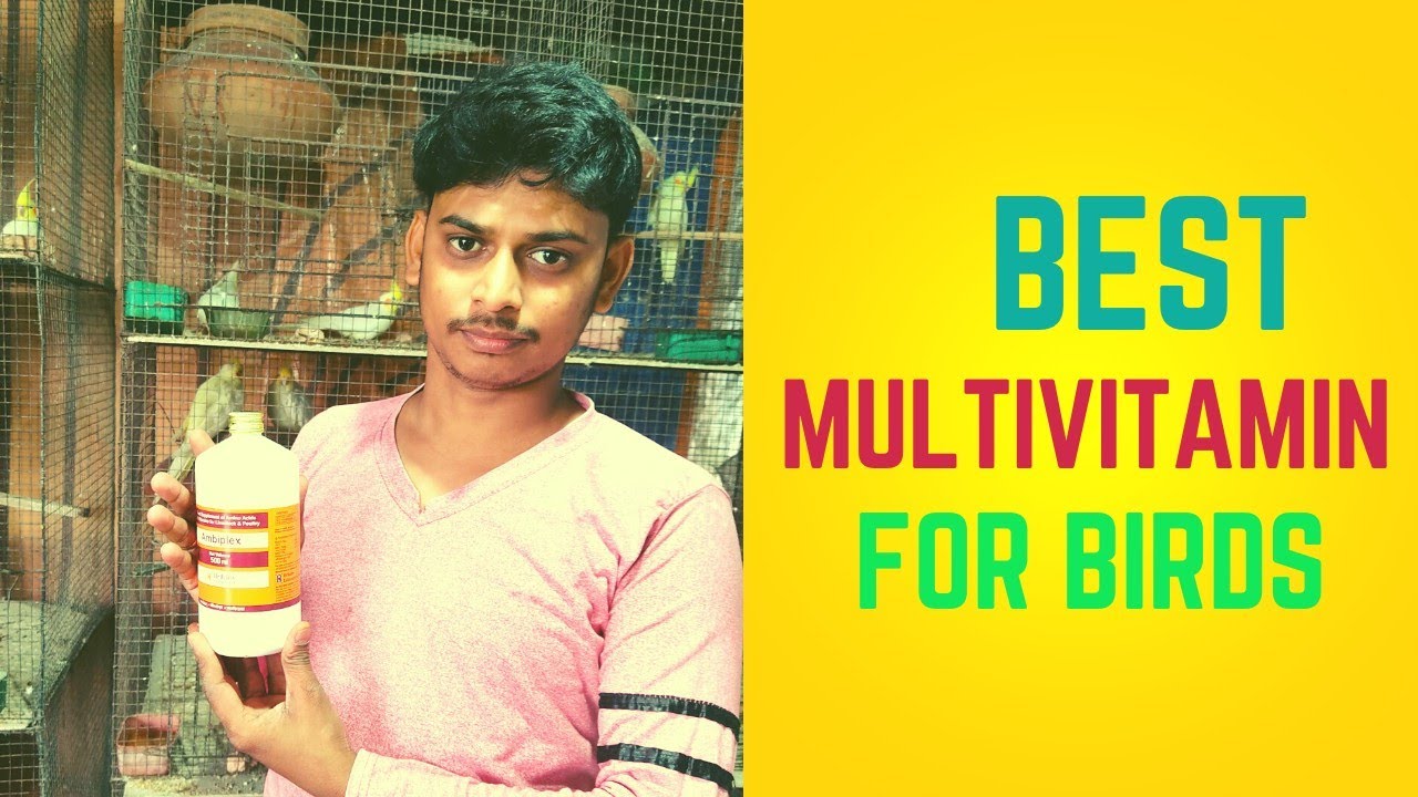 best multivitamin For Cockatails birds