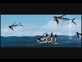 Miniature de la vidéo de la chanson 飛魚