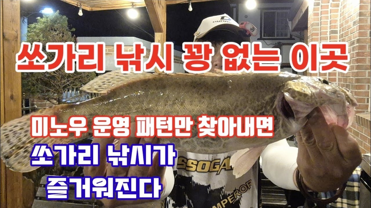 단양 시즌 5번째 덩어리 쏘가리 !! 꽝 없는 단양 쏘가리낚시