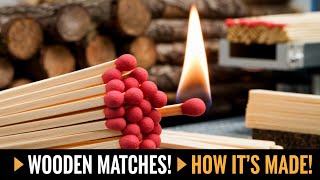 WOODEN MATCHES:How It's Made | From Tree to Tiny Firestarter!#WoodenMatches#HowItsMade #FireStarting
