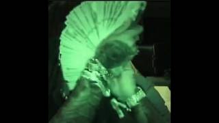 FREE Hurricane Wisdom Type Beat - Future Came With Fame