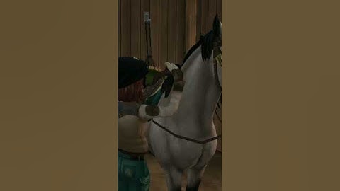 || Another love...? || sso || Tom Odell - Another Love || #shorts #starstableonline #ssoedit