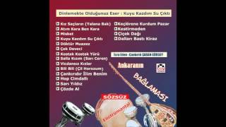 Kuyu Kazdım Su Çıktı - Ankara Oyun Havaları Resimi