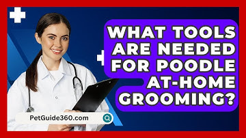 What Tools Are Needed For Poodle At-home Grooming? - PetGuide360.com
