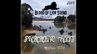 Blood Of Lion Sound Summer Hits Mixtape Vol 1