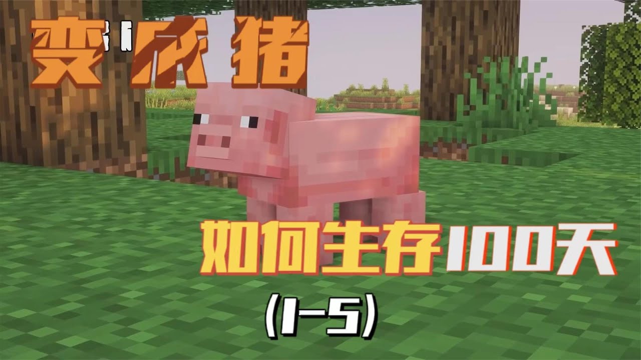我的世界:变成猪在MC生存100天(1 5) - YouTube
