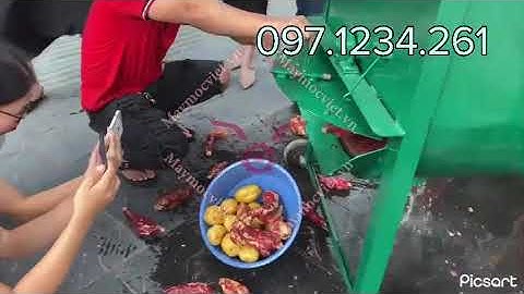 MÁY RỬA CỦ QUẢ CÔNG NGHIỆP RNS1500