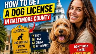 How to get a dog license in Baltimore County