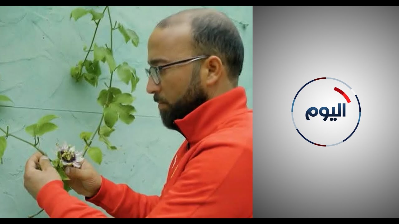 مزرعة العجائب في تونس تتحدى التغير المناخي