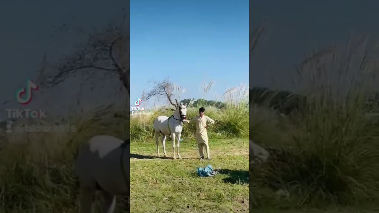 Maa sha Allah&hearts;️&hearts;️&hearts;️&hearts;️#fypシ゚viral #unfrezzmyaccount #reels #respect #lahore #rawalpindi #islamabad