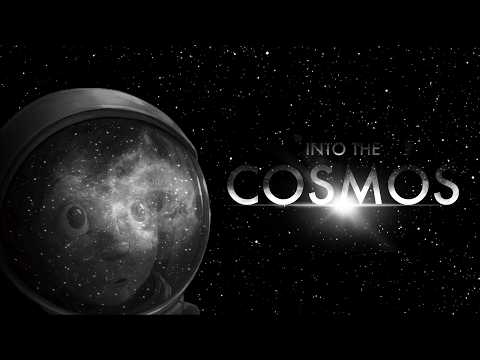 INTO THE COSMOS - A SHORT BY DANIEL CLOUD CAMPOS