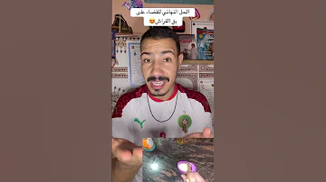 الحل النهائي للقضاء على بق الفراش معلومات الدار البيضاء أكادير وصفات المغرب مراكش معلومة 