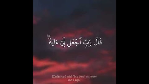 قرأن كريم القاري صلاح بو  خاطر💙|| أجمل تلاوة حالات واتس اب💓