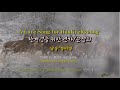 한계령을 위한 연가 - 시인, 문정희 ﻿A Love Song for HanGyeReong - Poetess Moon JungHee 영역된 한국시 English translation