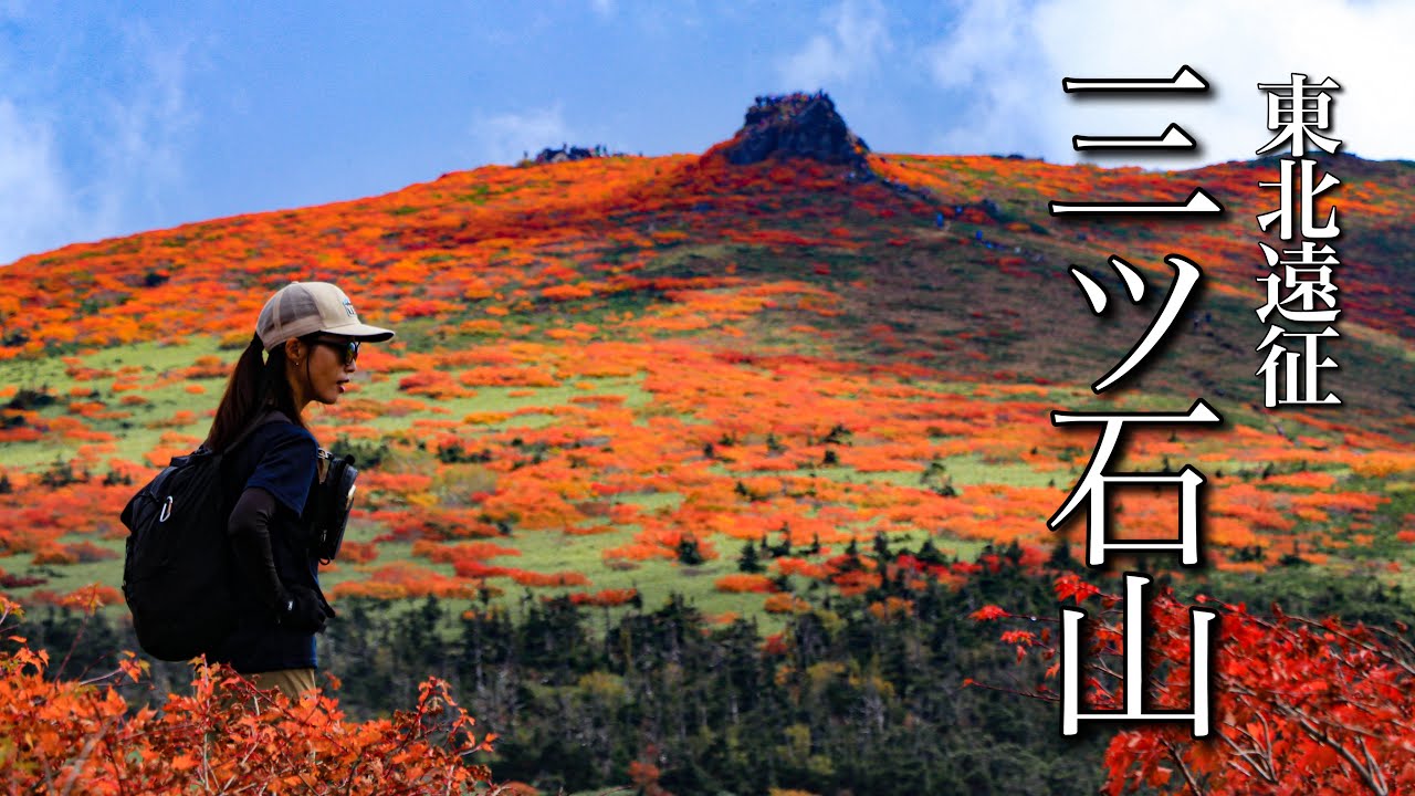 Mountain climbing] Autumn leaves in full bloom! A carpet of autumn