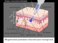 Шариатские решения относительно татуировок