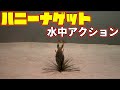 ジャッカル「ハニーナゲット」水中アクション　#バス釣り