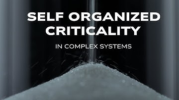 Self-Organized Criticality