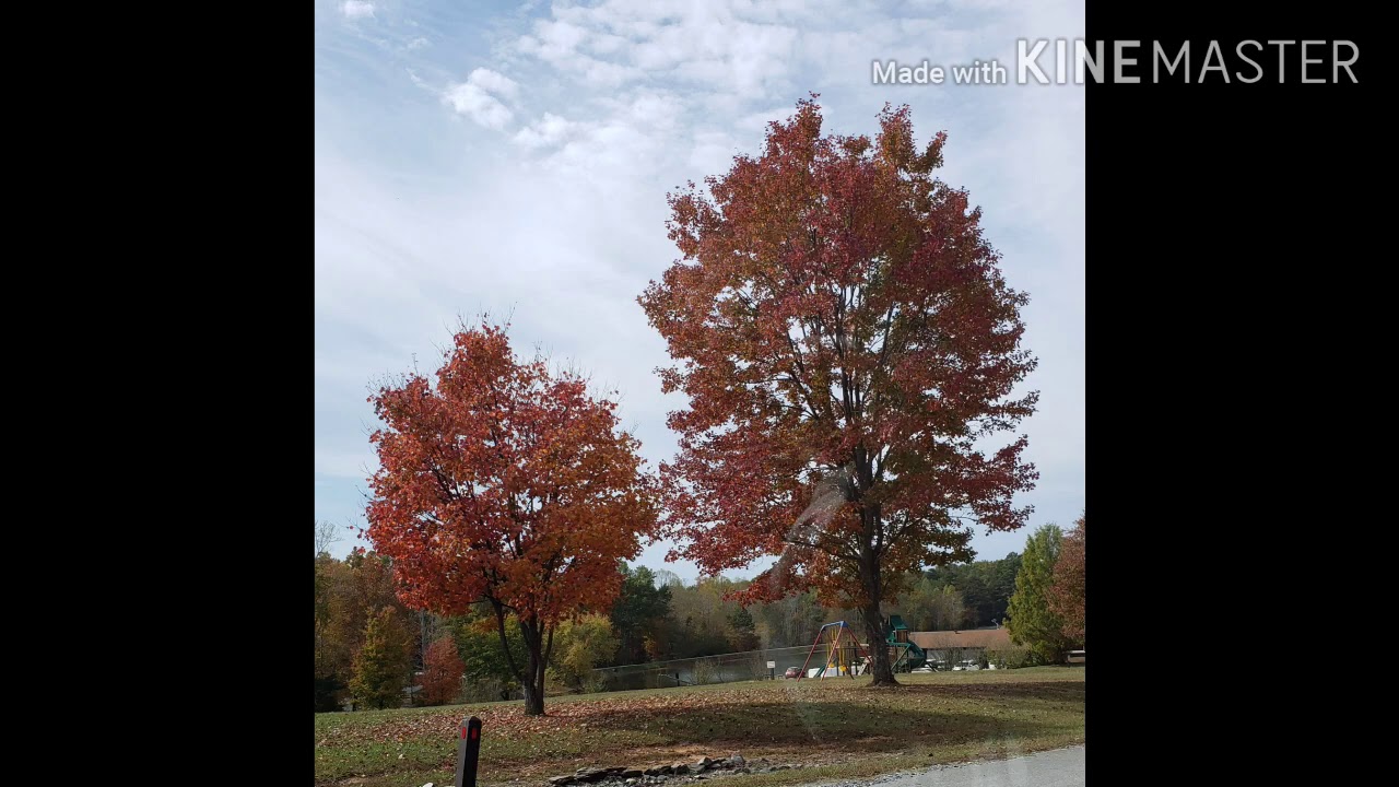 Family Vacation Air BB 2019