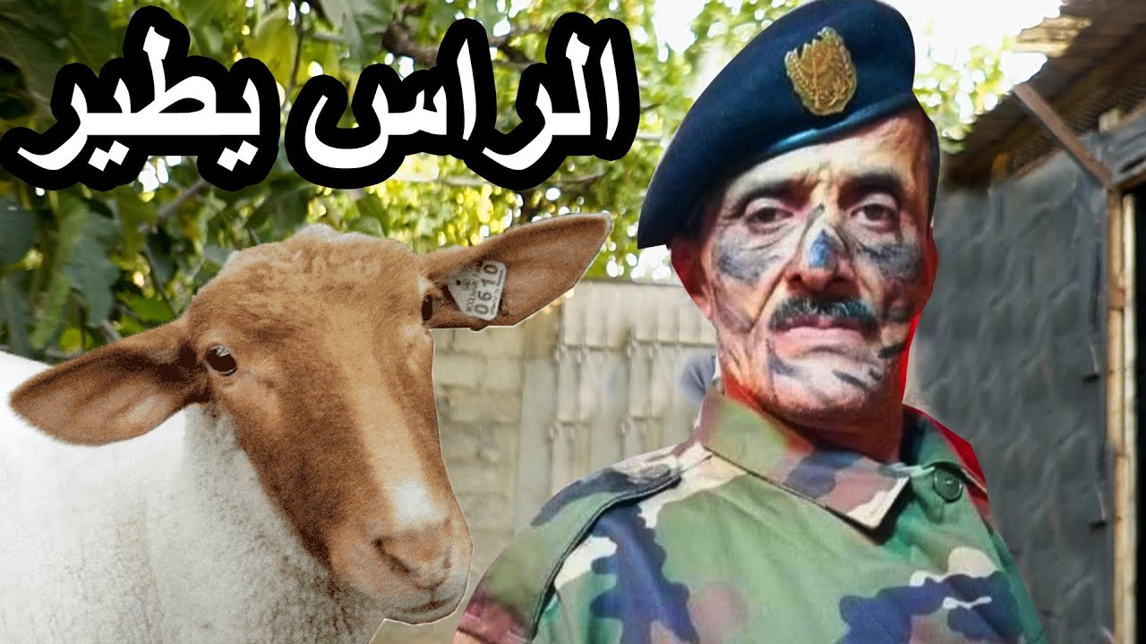 سكاتش كبش العيد 2023 ZINO 3D