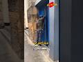 برناردو سيلفا مدريدي متخفي 