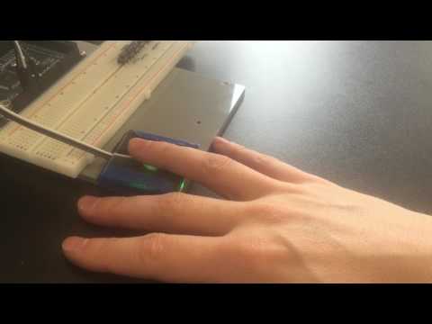 pulse sensor demo