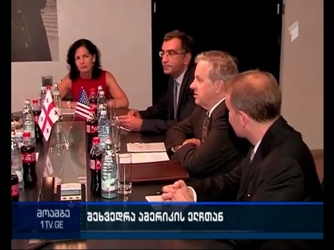 ვახტანგ გომელაური საქართველოში აშშ-ს ახალ ელჩს  შეხვდავ